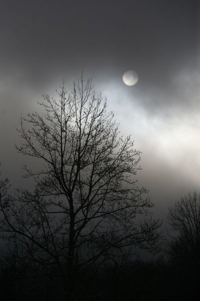 Луна в тумане