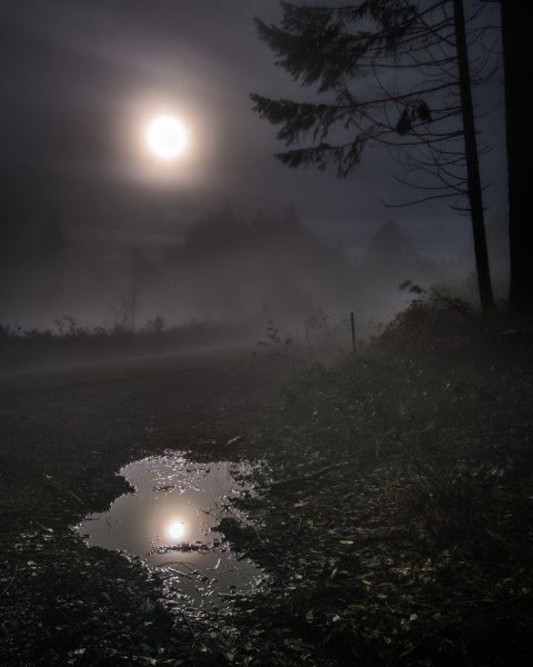 Озеро в тумане ночью