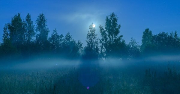 Озеро в тумане ночью