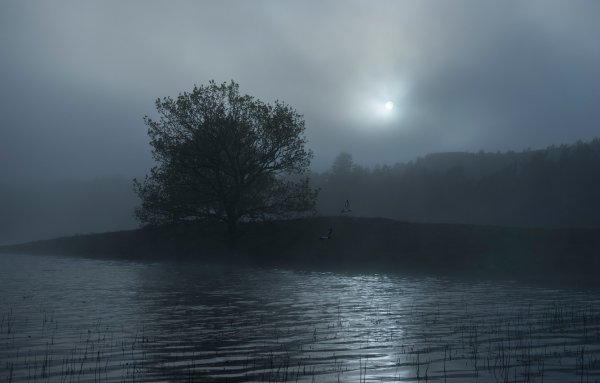 Озеро в тумане ночью