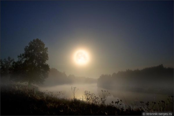 Туманное поле ночью