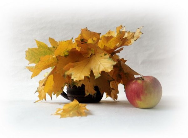 Этюд осенние листья