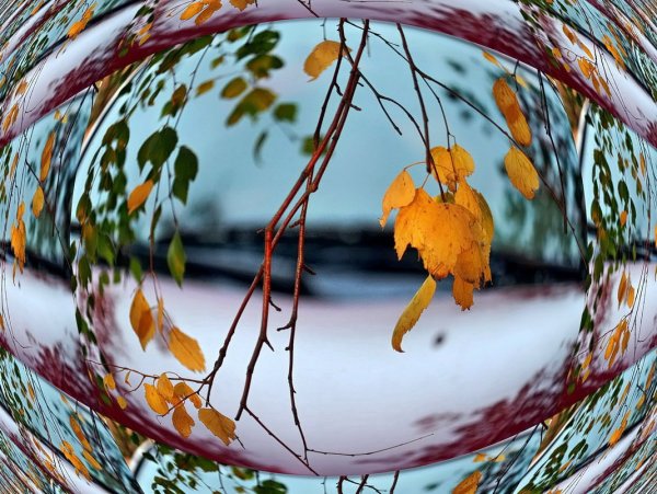 Оригинальные осенние фотоэтюды