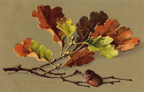 Катарина Кляйн осенние листья