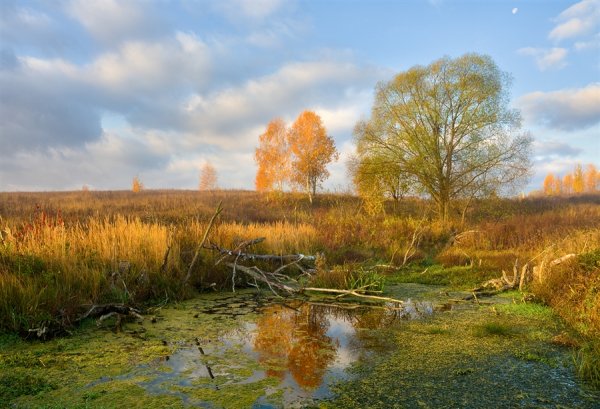 Осенние фотоэтюды