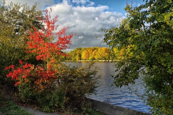 Оригинальные осенние фотоэтюды