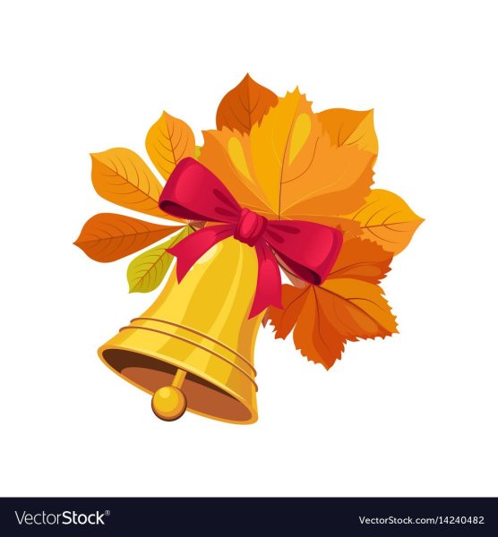 Колокольчик листья