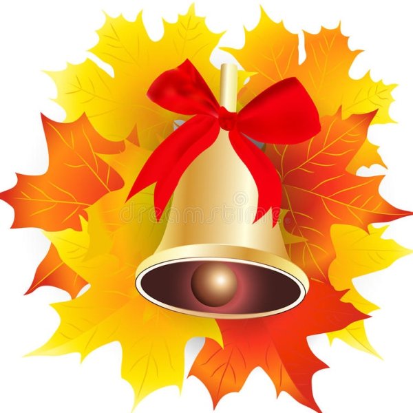 Колокольчик листья