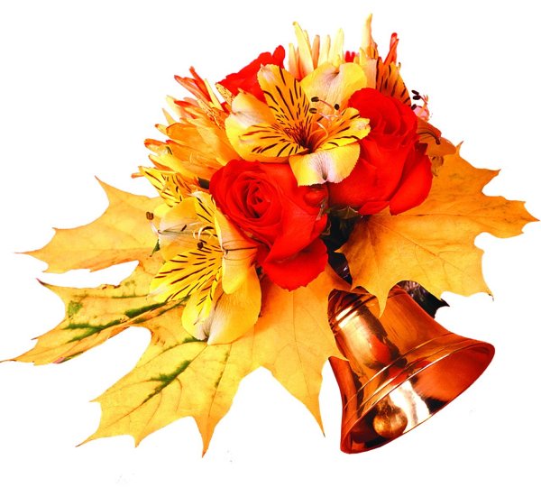 Колокольчик листья