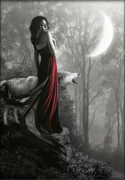 Готическая девушка с волком