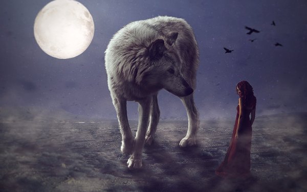 Одинокий волк