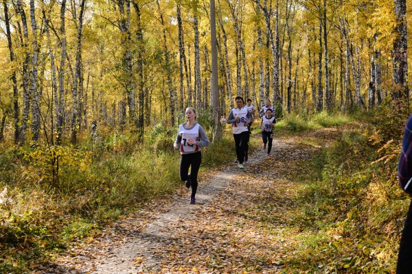 Осенний кросс призеры