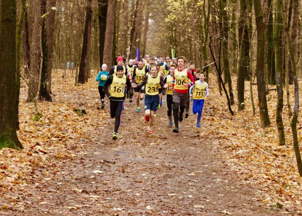 Осенний легкоатлетический кросс