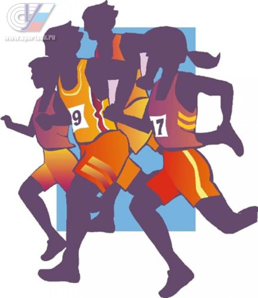 Физическая культура и спорт