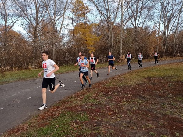 Осенний кросс в детском саду