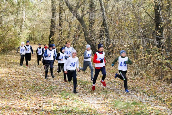 Осенний кросс