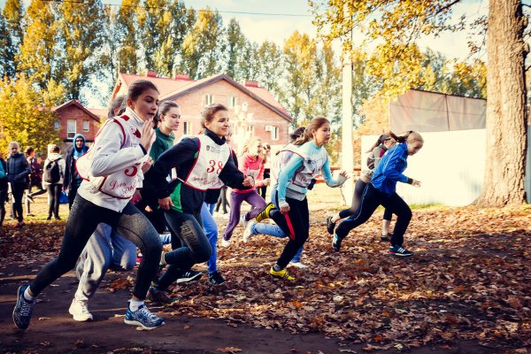 Кроссы в школу