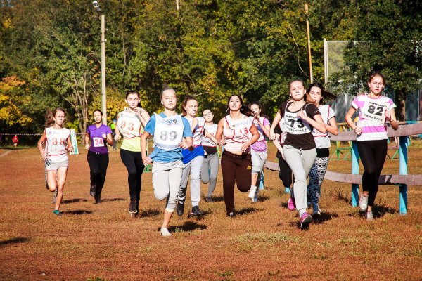 Осенний кросс в школе