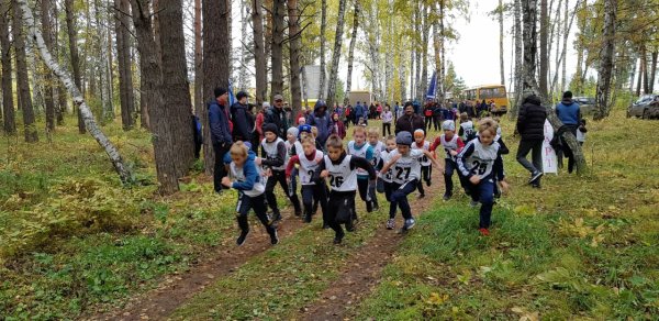 Осенний кросс соревнования