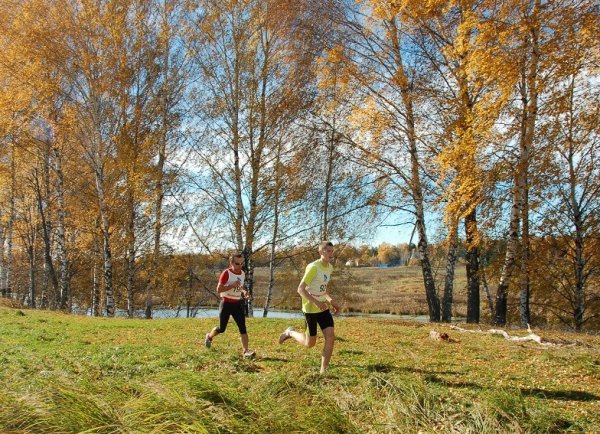 Кроссы на осень