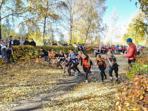 Сквер Северный венец Ульяновск