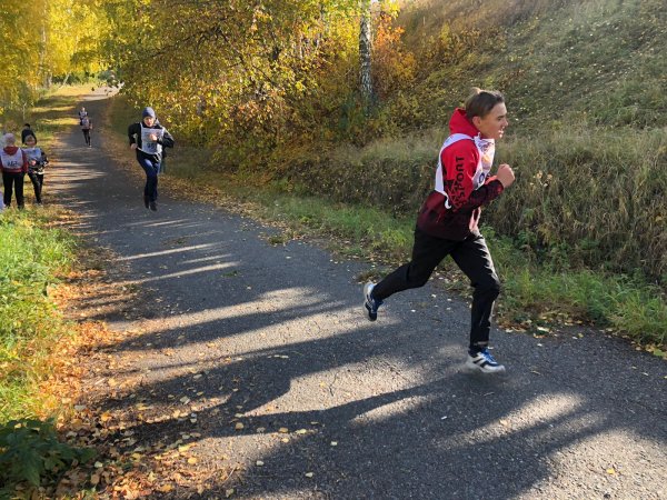 Осенний кросс в школе