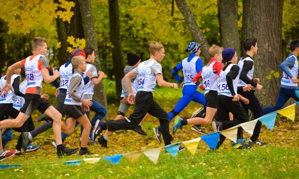 Кросс по пересеченной местности