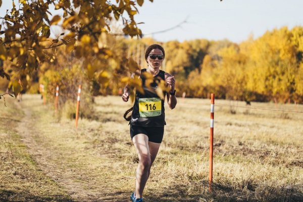 Забег в лесу