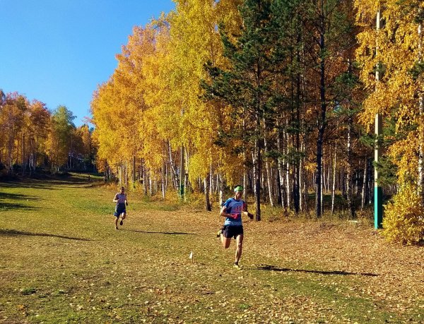 Кросс осенью