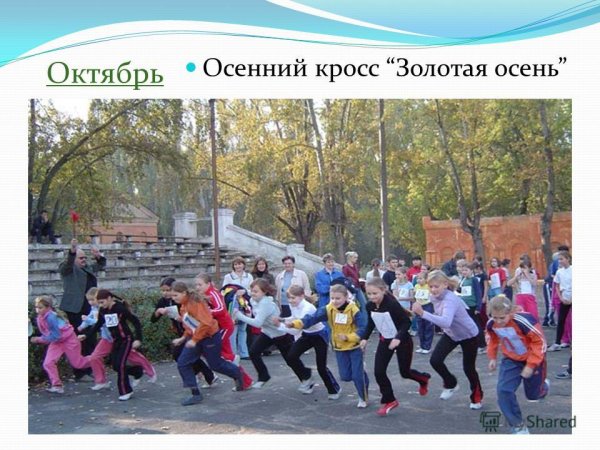 Кросс Золотая осень