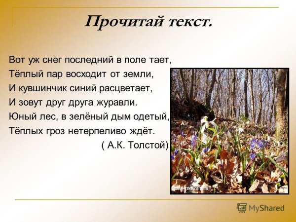 Вот уж снег последний в поле тает