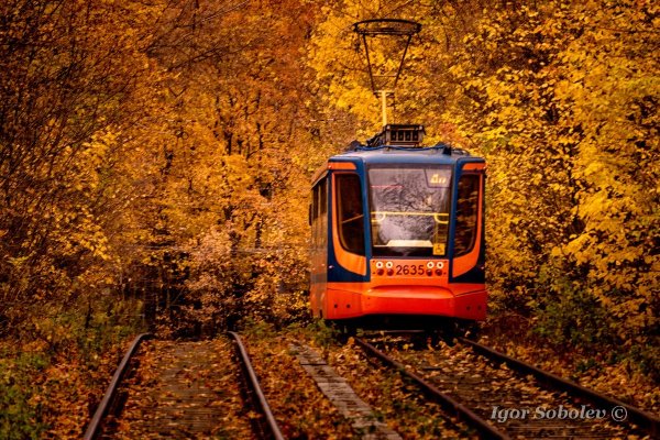 Осенний Калининград трамвай