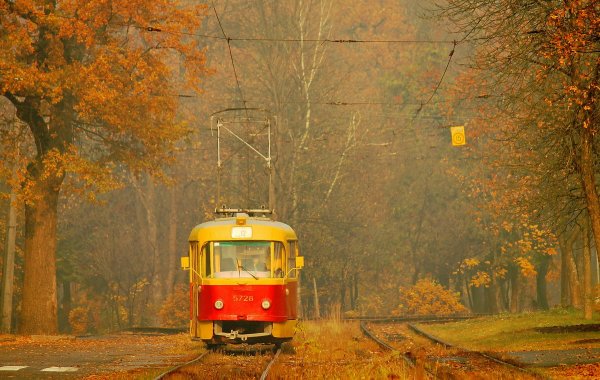 Трамвай осень город