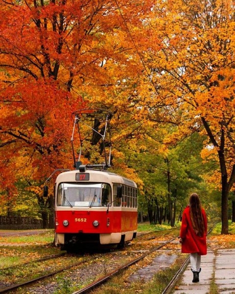 Трамвай Покровское-Стрешнево осень