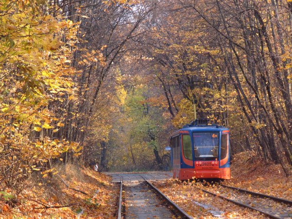 Красивый осенний трамвай