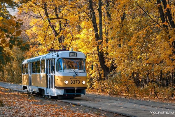 Московский трамвай и осень