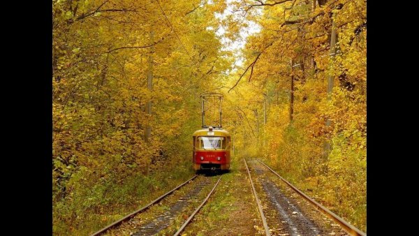 Трамвай через осенний парк