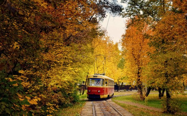 Осенний Калининград трамвай