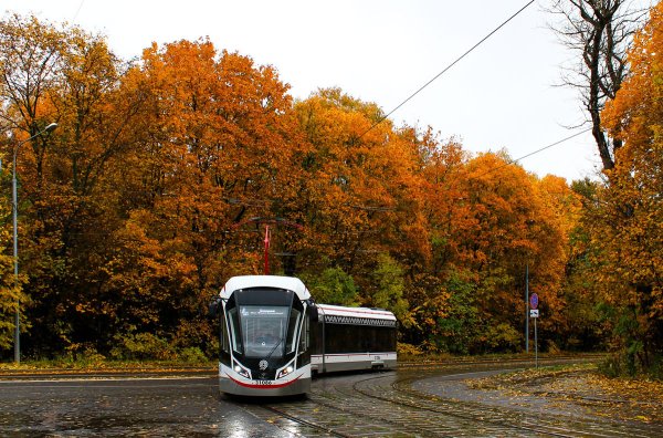 Трамвай осенью