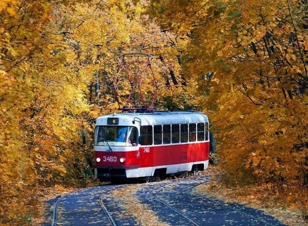 Трамвай осенью
