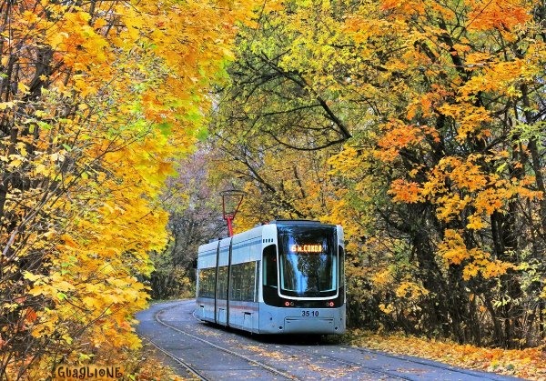 Трамвай Покровское-Стрешнево осень