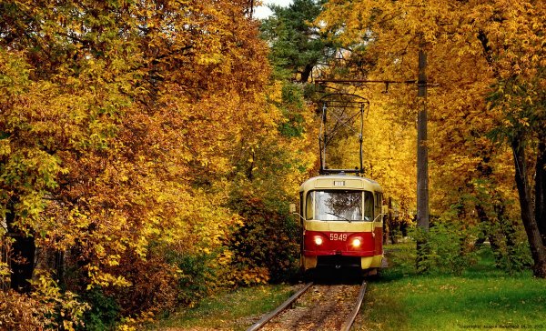 Трамвай Покровское-Стрешнево осень