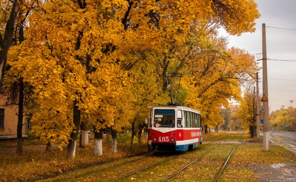Каштановая аллея трамвай Калининград