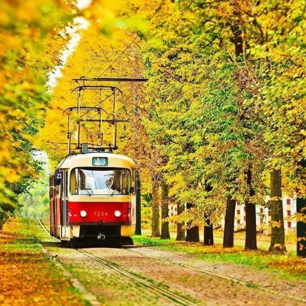 Осень Калининград трамвай