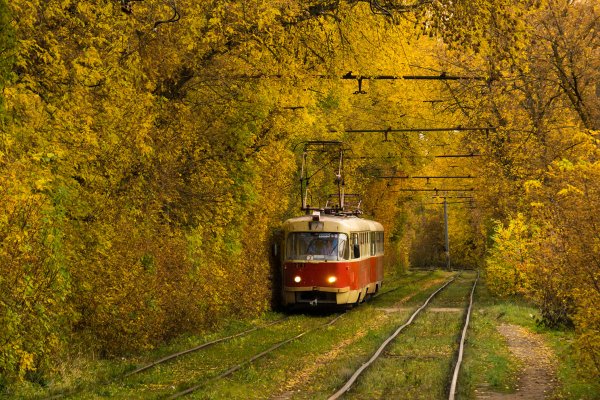 Сокольники трамвай осень