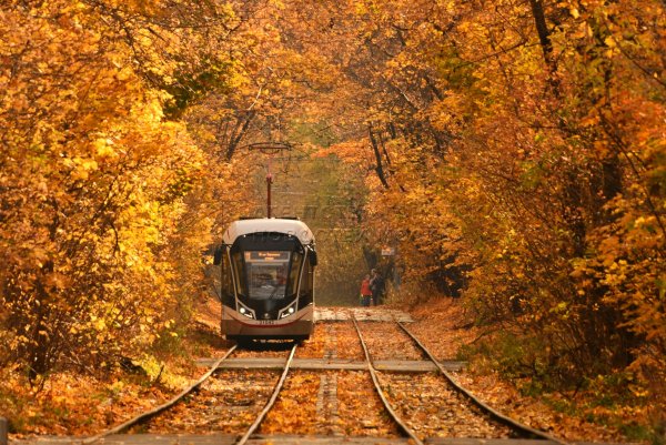 Осенний трамвай