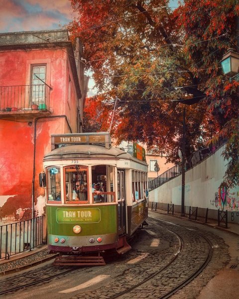 Лушпин осенний трамвай