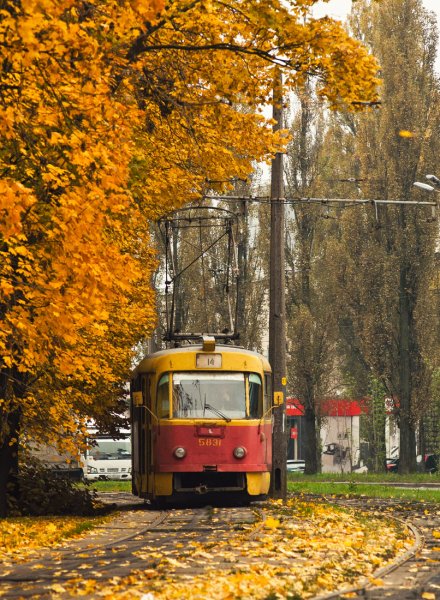 Трамвай осенью