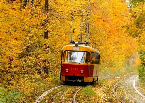 Трамвай едет по рельсам