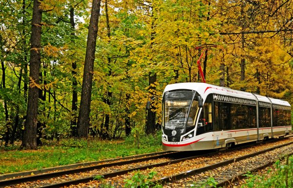 Трамвай в лесу
